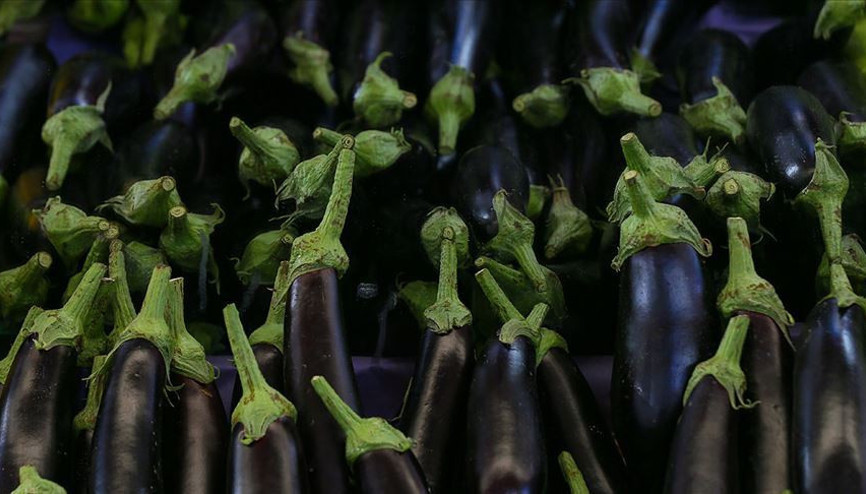 Eylülde fiyatı en fazla artan ürün patlıcan, en çok düşen limon