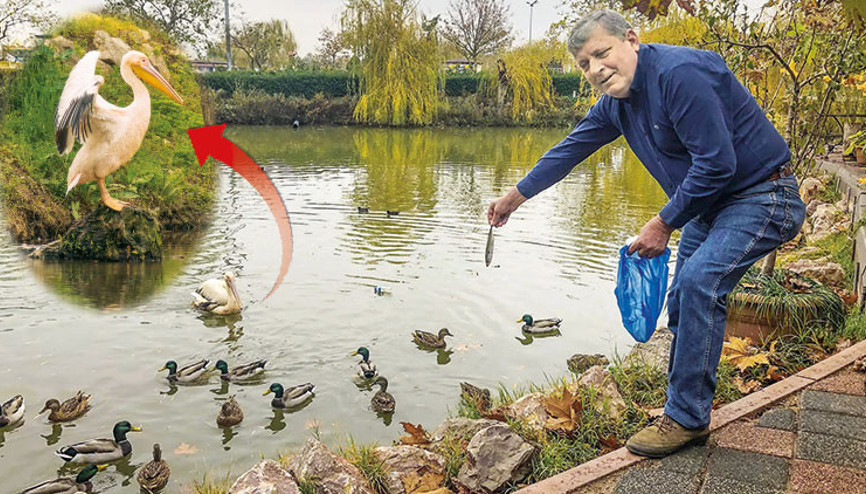 Bir dostluk hikâyesi: Pelikan Haydut ve Tavacı Refik