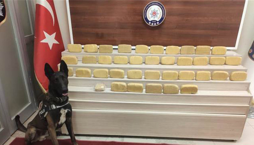 Otomobil kılıfları arasına zulalanmış eroini ’Zeus’ buldu