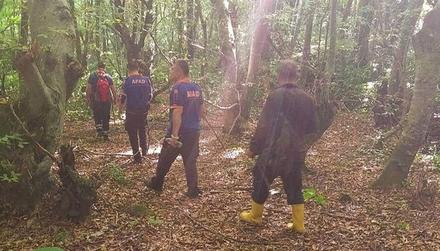 Kestane toplamaya gittiği dağda kayboldu