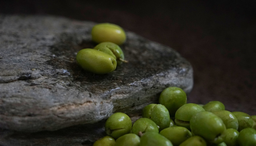 Edremit Körfezinde kırma zeytin mesaisi başladı