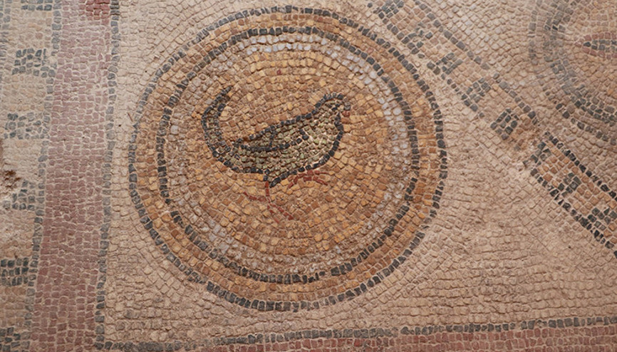 Balatlar Kazısı’nda, Zeugmadakilere benzer mozaikler bulundu