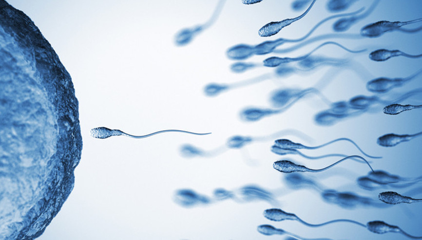 Bilimsel çalışmalarla kanıtlandı… Bu besinler sperm sayısını artırıyor