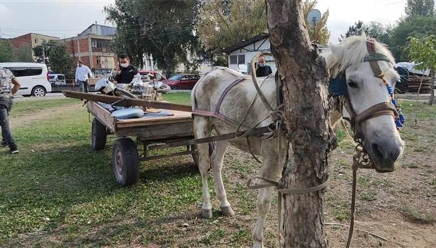 Çaldığı motosikleti at arabasıyla götürdü, ’satın aldım’ dedi