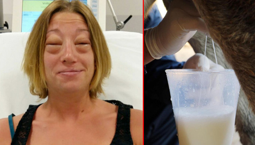 Eşek sütünde ölüm riski Bu hale geldi…