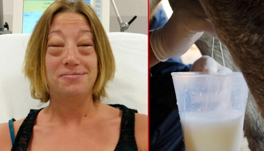 Eşek sütünde ölüm riski