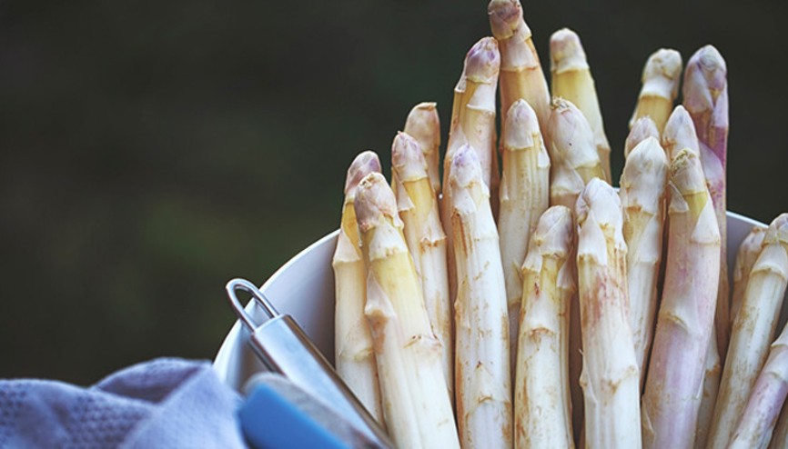 Önlem almak mümkün… Bu besinler Alzheimer’dan koruyor