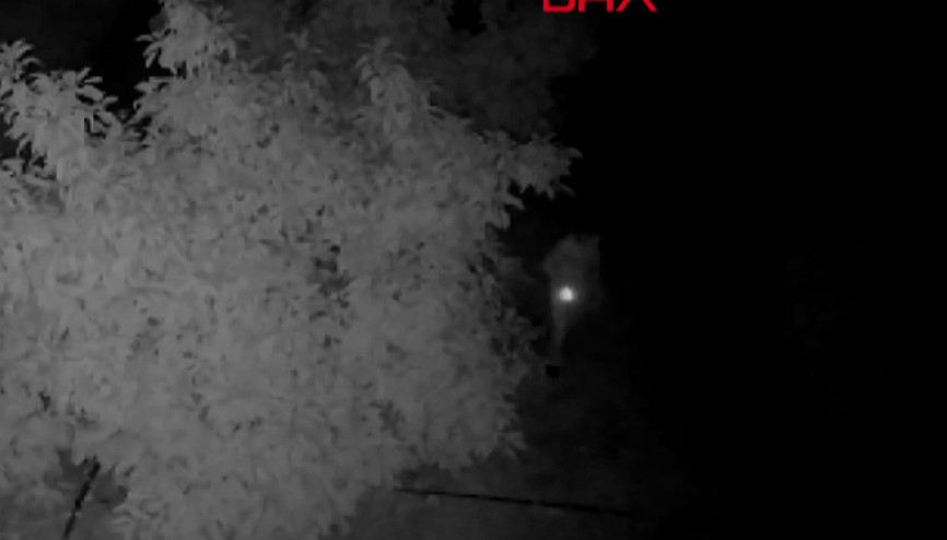 Avokado hırsızı 2 kardeş, çaldıklarını satamadan yakalandı