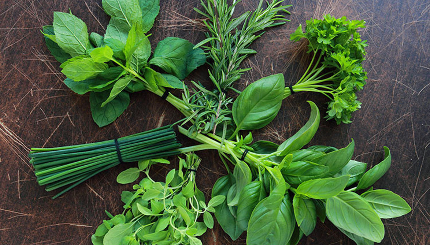 Yeşilliklerinizi uzun süre taze saklamanın yolları