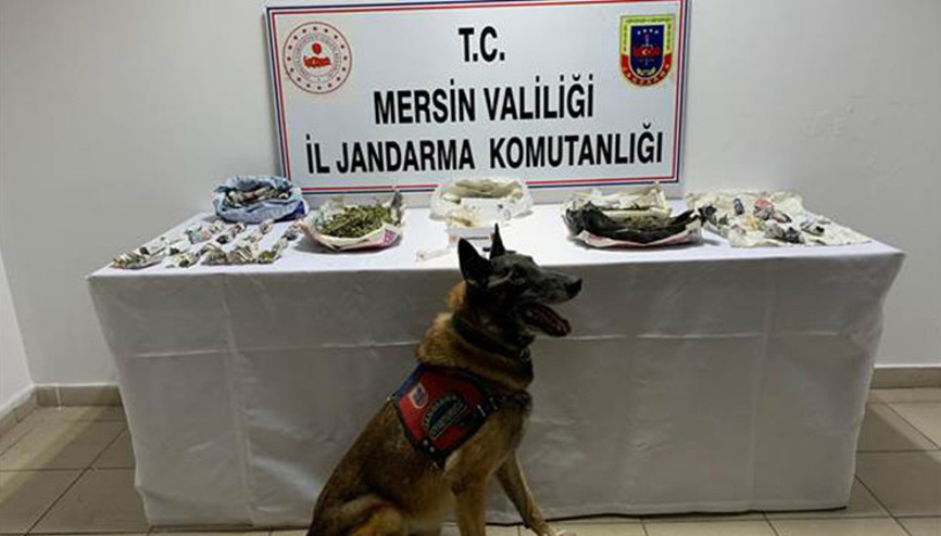 İş yerindeki uyuşturucuyu ’Çaylak’ ve ’Dünya’ buldu