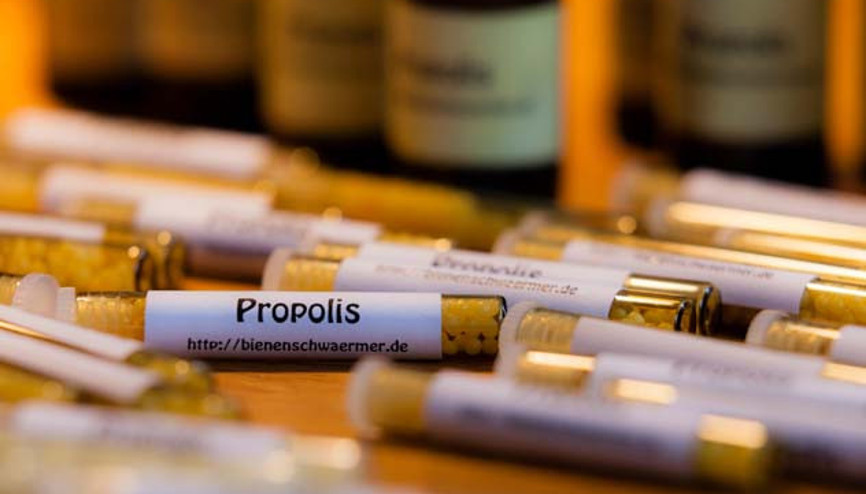 Propolis, Koronavirüsten Korur mu