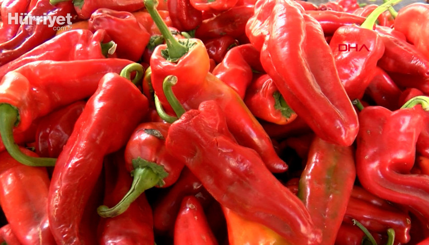 İsot yiyerek, sıcakta durarak virüsten korunulacağı algısı doğru değil İsot yiyerek, sıcakta durarak virüsten korunulacağı algısı doğru değil