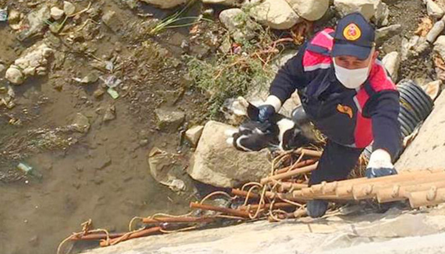 Köprü altında mahsur kalan kediyi, itfaiyeciler kurtardı