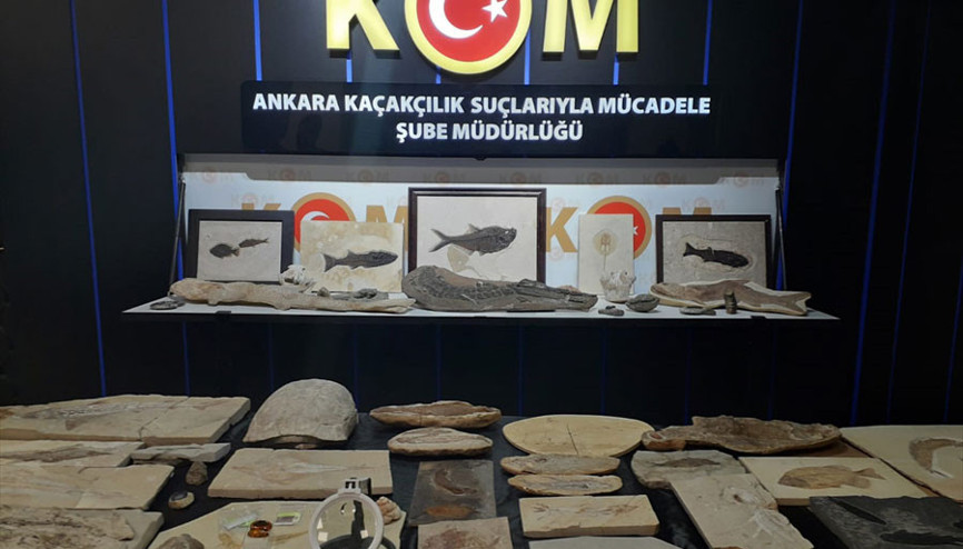Hepsi Adnan Oktar’ın evinden çıktı Milyon dolarlık fosiller...
