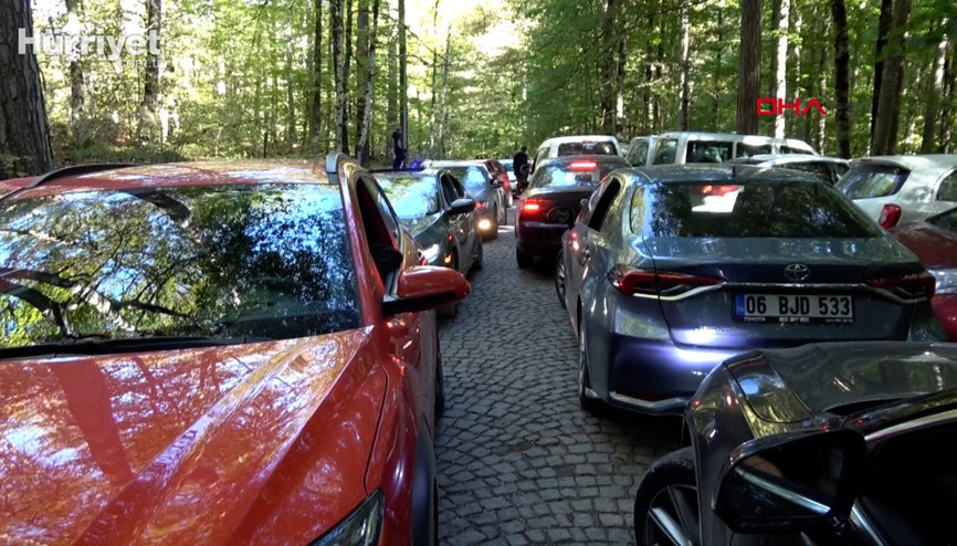 Yedigöllerde sonbahar keyfi çileye döndü Yedigöllerde sonbahar keyfi çileye döndü