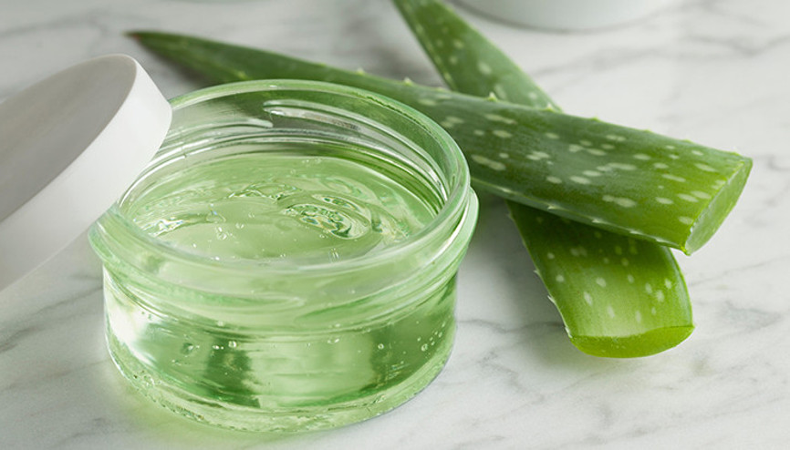 Aloe veranın cilde ilginç etkileri