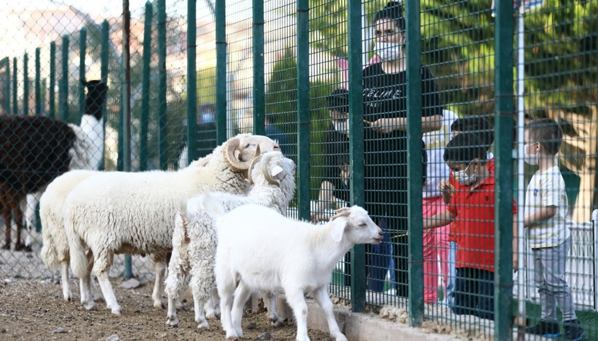 Keçiören’deki Doğal Yaşam Parkına ailelerin ilgisi yoğun