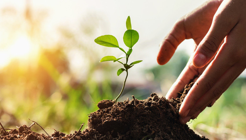 Bu kış doğayı giydirecekler Bu kış doğayı giydirecekler