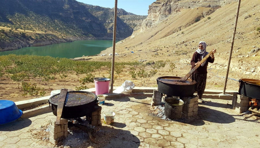 Siirtte yapıyor Avrupanın güzellik merkezlerine satıyor