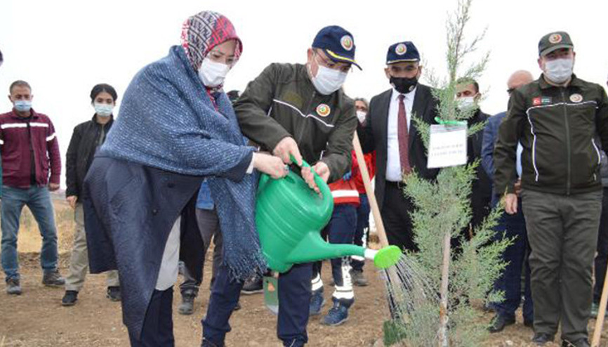 Elazığda fidanlar toprakla buluşuyor