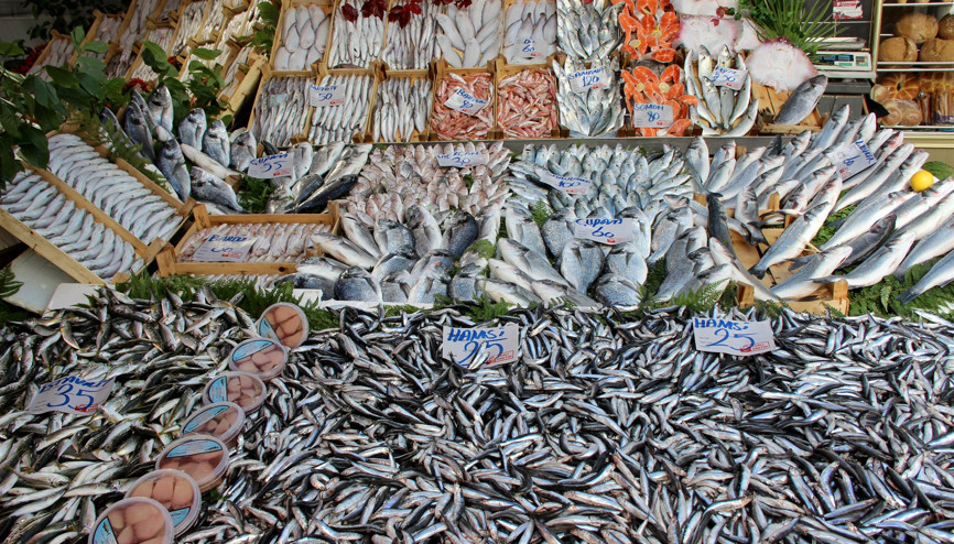 Bollaşan hamsi tezgahları şenlendirdi, balık severleri mutlu etti