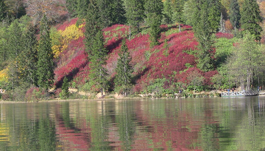 Sonbaharda ziyaret edilecek en iyi 5 tabiat parkı