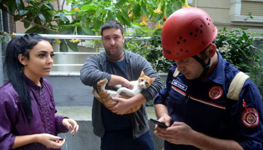 Avcılar’da 5’inci kattan düşen kedi, 8 saat sonra sıkıştığı yerden çıkarıldı