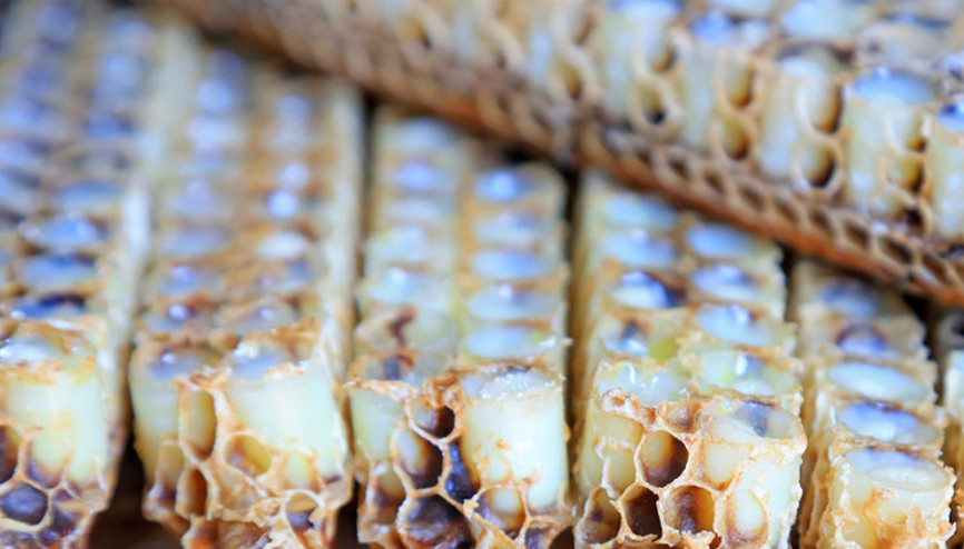 Çocuk ve yetişkin beslenmesinde arı sütünün önemi Çocuk ve yetişkin beslenmesinde arı sütünün önemi