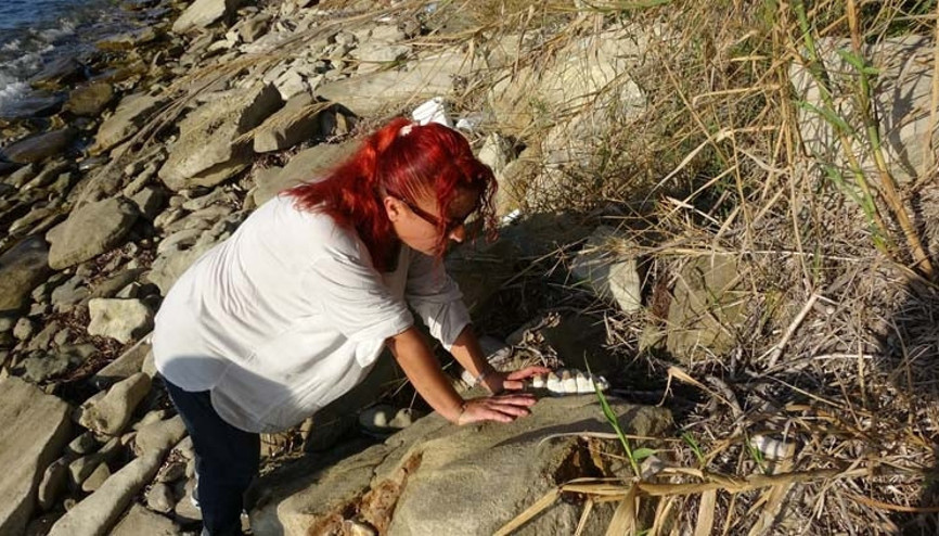 Çanakkale’de müthiş keşif 9 milyon yıl öncesine ait…