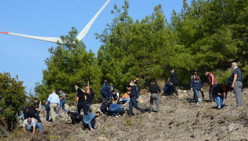 Datçada 2 bin fidan dikildi