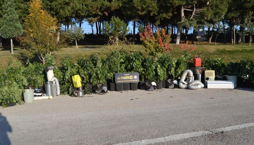 Tavuk çiftliğinde 115 kök skunk maddesi ele geçirildi