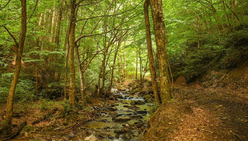 Bir haradan daha fazlası... Karacabey