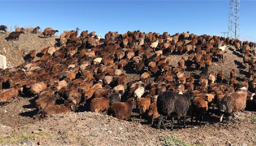 Göçerlerin zorlu yolculuğu Göçerlerin zorlu yolculuğu