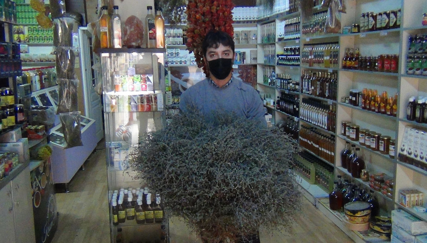 Koronavirüse karşı yeni favori kekik ve kekik yağı