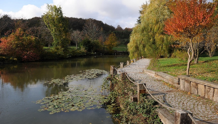 İstanbul’un oksijeni bol en güzel adresi: Atatürk Arboretumu