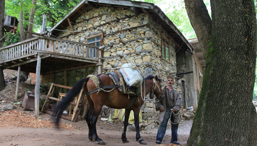 Tamir edecek ustası bile kalmadı ama 884 yıldır sapasağlam ayakta