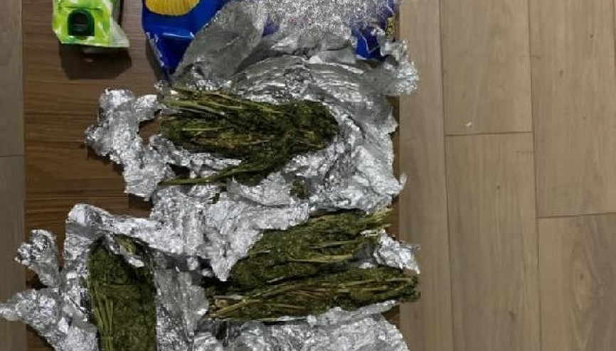 Cips paketlerinden esrar çıktı