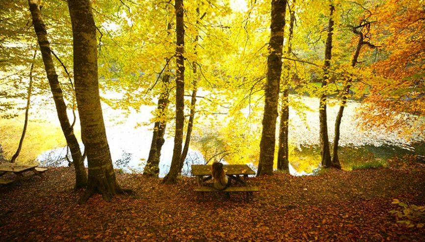 Yedigöller ve Gölcük sonbahar görüntüsüyle hayranlık uyandırıyor