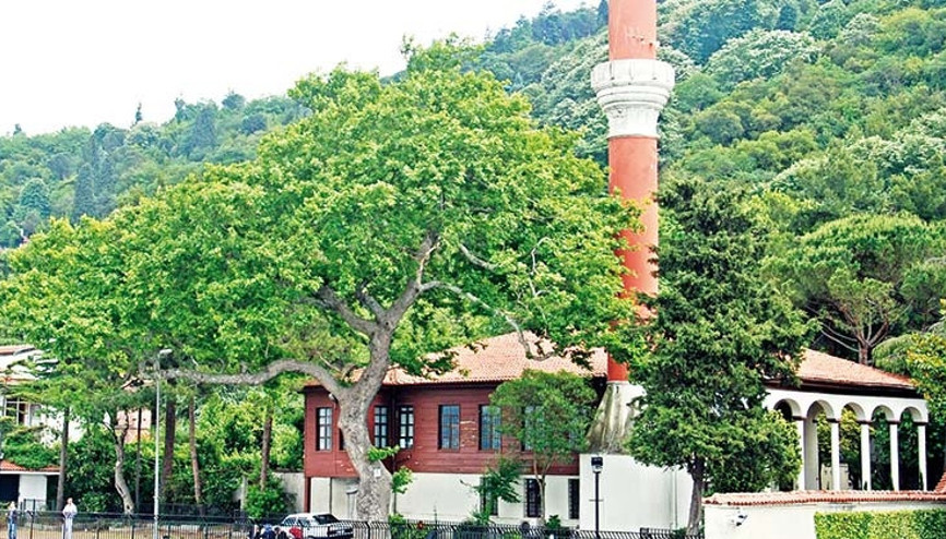 Kül olan 355 yıl... Vani Beyin hikayesi Kül olan 355 yıl... Vani Beyin hikayesi