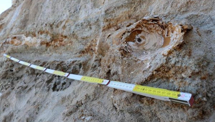 Edirnede 8 milyon yıllık mamut fosilleri bulundu