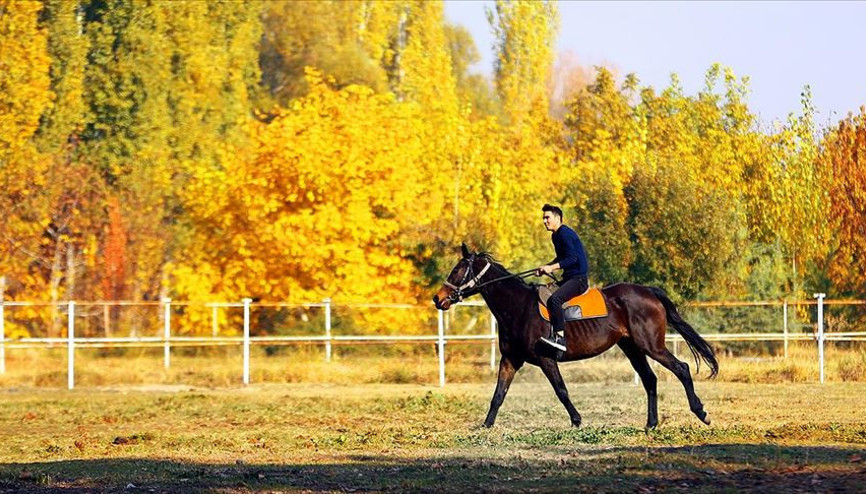 Bozkırın ortasında şampiyonlar yetiştiren haralar ziyaretçilerine at sevgisini aşılıyor