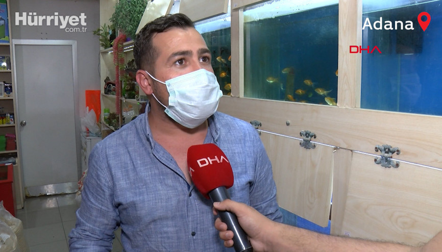 İnternetten hayvan satanlara pet marketlerden tepki. Bisikletle bile takas ediyorlar Yılan, baykuş, akrep satıyorlar...