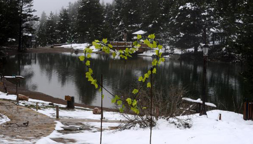 Doğu Karadeniz’de kar yağışı etkili oluyor