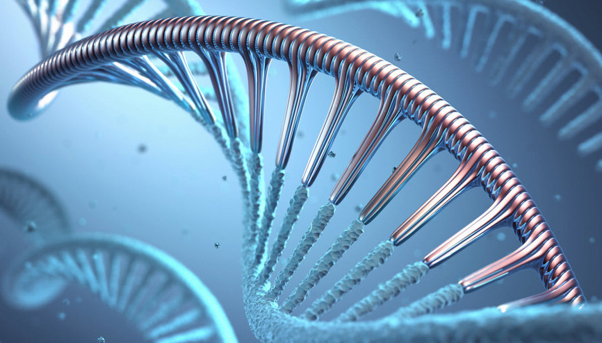 Koronavirüs aşısında biyoteknoloji ve yaşamın yazılımı: mRNA Koronavirüs aşısında biyoteknoloji ve yaşamın yazılımı: mRNA