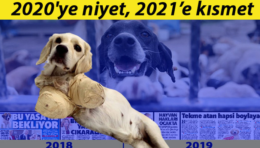 2020ye niyet, 2021e kısmet