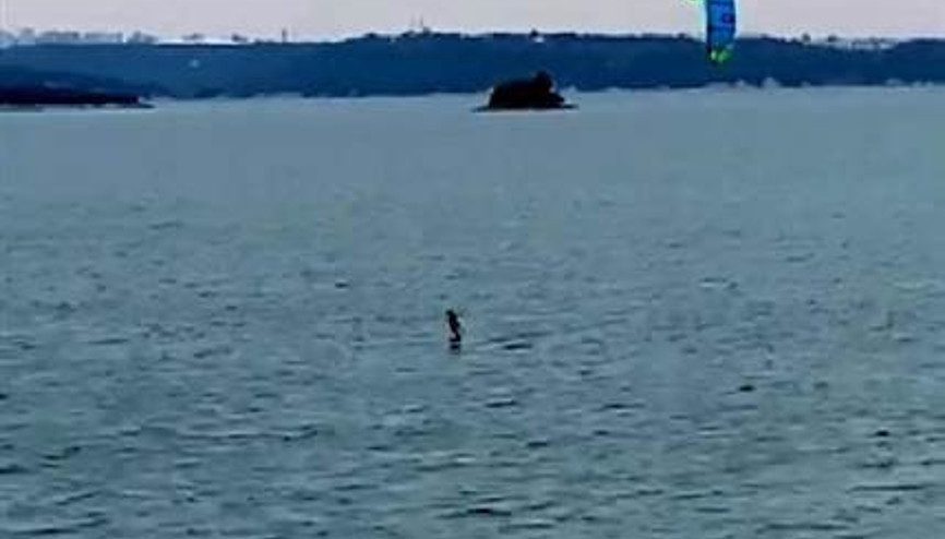 Dünya ikincisi sörfçüyü vatandaş mahsur kaldı sandı Dünya ikincisi sörfçüyü vatandaş mahsur kaldı sandı