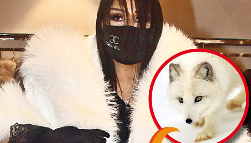 Bülent Ersoy servet yatırmış...  Kürklerinin değeri 2.5 milyon TL