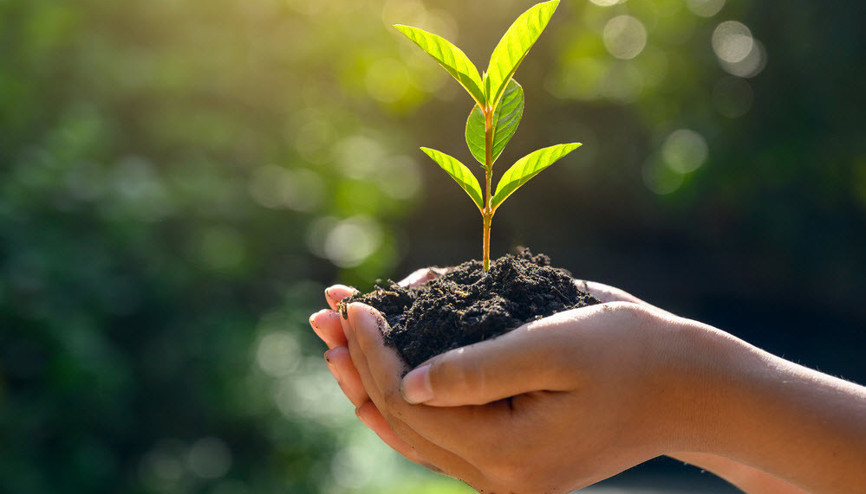 Türkiyede 13 bin 409 bitki ve hayvan türünün tespiti yapıldı