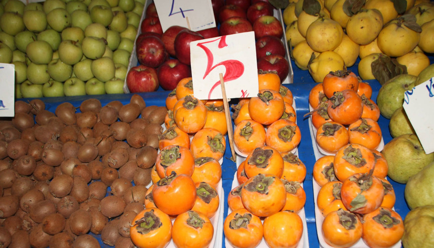 Bilecikte şifa deposu cennet hurmasının hasadı başladı