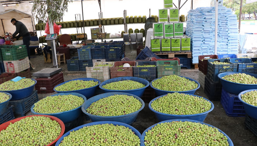 Şanlıurfada zeytin tezgahları renklendirdi... Günde 5 ton satılıyor